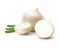 Vector Fresh Whole and Sliced White Onion Bulbs