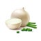 Vector Fresh Whole and Sliced White Onion Bulbs with Chopped Green Onions Isolated on White Background