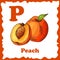 Vector fruit alphabet for education. Illustration for kids. Letter P for Peach