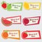 Vector fruit sticker set