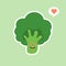 vector funny cartoon cute green smiling broccoli character isolated on color background. vegetable broccoli. Fresh green Vegetable