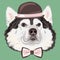 Vector funny cartoon hipster Alaskan Malamute dog