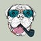 Vector funny cartoon hipster dog Bullmastiff
