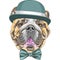 Vector funny cartoon hipster dog English Bulldog breed