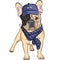 Vector funny cartoon hipster dog French Bulldog b