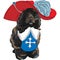 Vector funny cartoon Portuguese Water Dog musketeer