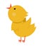 Vector funny chick icon