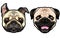 Vector funny happy doggy heads portrait of wrinkly pug puppies isolated