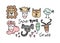 Vector funny magical safari cute animals set