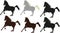 Vector galloping horse. Arabic black horses set. Stallions