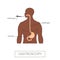 Vector gastroscopy concept