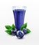 Vector glass cup with juice of blueberries isolated