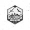 Vector Gliding club retro badge.