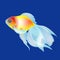 Vector golden fish on the dark blue beckgound, element for design works