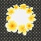 Vector golden frangipani or plumeria flower on polka dot background postcard