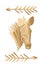 Vector, Golden zebra portrait on a white background with arrows. Collection of contemporary art. Poster in trendy style