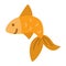 Vector goldfish. Funny orange fish icon.