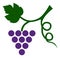 Vector Grape Plant Icon