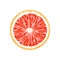 Vector grapefruit, pomelo slice. Illustration of citrus