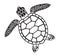 Vector graphic illustration of a Sea Turtle