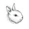 Vector graphic sketch of baby rabbit profile in black isolated on white background. Silhouette of decorative cute bunny head.