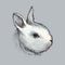 Vector graphic sketch of white baby rabbit profile on the gray background. Silhouette of decorative cute bunny head in lineart.