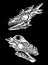 Vector graphical skulls of pachycephalosaurus on black, graphical illustration,paleontological element