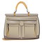 Vector gray ladies handbag