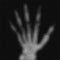 Vector grayscale abstract hand tomography analysis illustration. Digital palm x-ray scan. Medical data MRI visualization