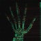 Vector green abstract hand tomography analysis illustration. Digital palm x-ray scan. Medical data MRI visualization