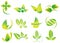 Vector green leaves, flowers, ecology icons, health, environment, nature related logos