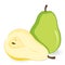 Vector green pear and a half a yellow pear.