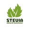 Vector green stevia leaves label