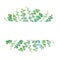 Vector greenery illustration for rustic, simple wedding design.