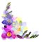 Vector Greeting background with freesia flowers