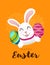Vector Greeting banner with white Easter rabbit with long ears and colored eggs isolated in orange background. Funny