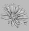 Vector grey flower 3