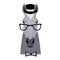 Vector grey horse head in glasses wearing bowtie and cap