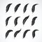 Vector group of feather on white background. Feathers symb