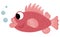 Vector grouper or perch icon. Under the sea illustration with cute funny seabass. Ocean animal clipart. Cartoon underwater or
