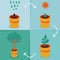 Vector growth concept