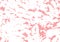 Vector grunge texture. Horizontal background with abstract stains.