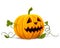 Vector halloween pumpkin vegetable fruit isolated