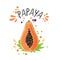 Vector hand draw colored papaya illustration. Orange, yellow papaya with pulp and fruit bones and green leaves. Fresh