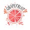 Vector hand draw grapefruit illustration. Half and slice of grapefruits with juice splashes isolated on white background