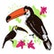 Vector hand draw illustration of tropical birds - carrots, toucans with paint drops, abstract elements and pink tropic