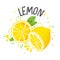 Vector hand draw lemon illustration. Half and slice of lemons with juice splashes isolated on white background. Textured