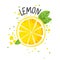 Vector hand draw lemon illustration. Half and slice of lemons with juice splashes isolated on white background. Textured