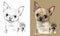 Vector hand drawing dog Chihuahua monochrome and color