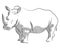 Vector hand drawing illustration of rhino standing